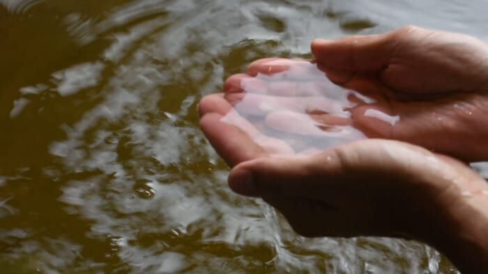 両手でお湯をすくう様子